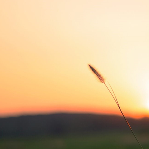 分开成全了你(抖音热播版)