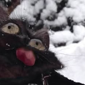 Right/Wrong (sped up)