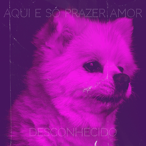 Aqui E Só Prazer Amor