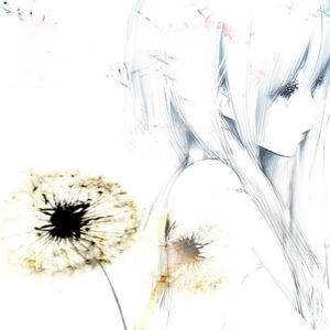 蒲公英