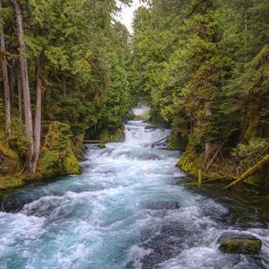 I Have Never Been to Sherwood