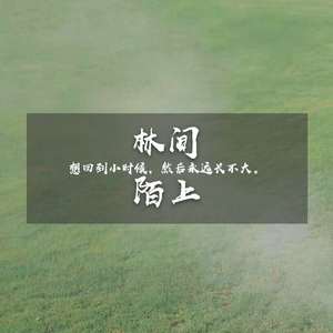 林间陌上