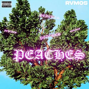 PEACHES (feat. ProdBy.VAL)