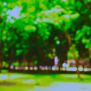 Walk in the Park