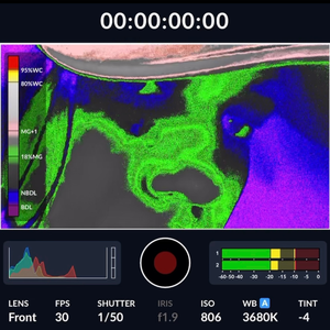 обманчивая