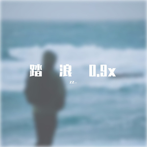 踏浪0.9x