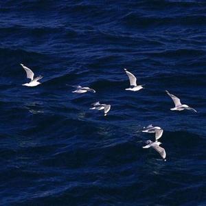 一个人想着一个人