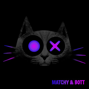 Paris Nights (Ron Flatter Remix)