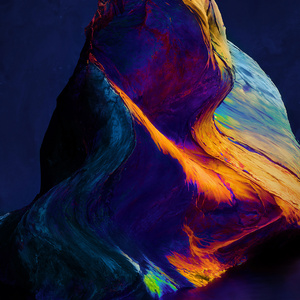 有些猫我不知道她哪里好但就是什么狗都替代不了