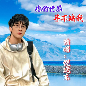 你的世界并不缺我