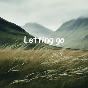 Letting go