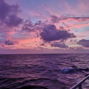 错过了心爱的姑娘