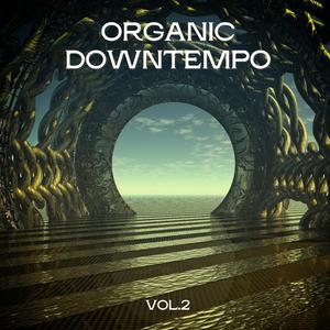 In a Secret Garden (Organic Instrumental)