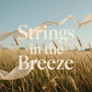 Velvet String Reverie