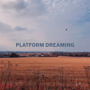 Platform Dreaming