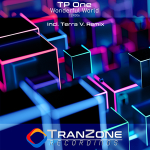 Wonderful World (Terra V. Remix)