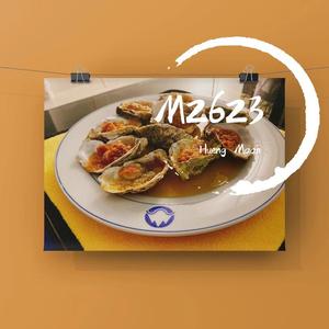 望风响应（阿峰Peak remix）