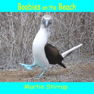 Boobies On The Beach