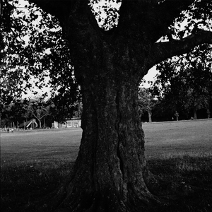 Swell (Instrumental)