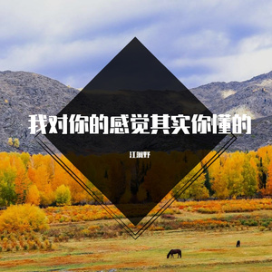 我对你的感觉其实你懂的