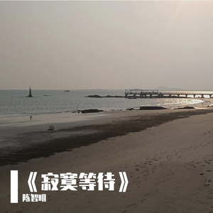 《寂寞等待》