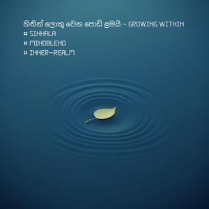 හිතින් ලොකු වෙන පොඩි ළමයි | Growing Within | Sinhala | #MindBlend | Inner Realm