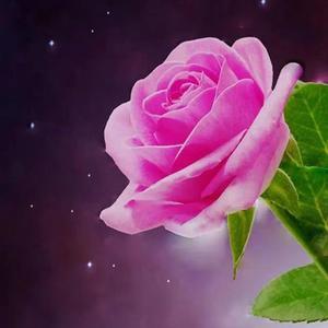 你不知道的爱 完整版 伴奏