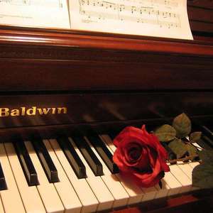 Alicias（爱丽丝）