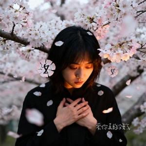 爱你真的没勇气 (Cover 糖晓四)
