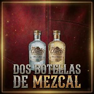Dos Botellas de Mezcal