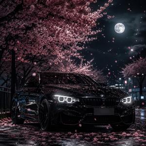 Ночные цветы