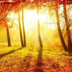 阳光之舞（钢琴曲）