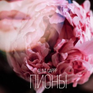 Пионы