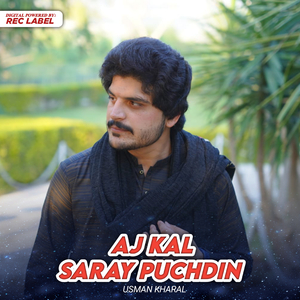 Aj Kal Saray Puchdin