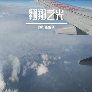 翱翔之光