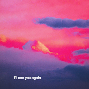 i’ll see you again