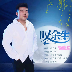 叹余生 (DJ版)