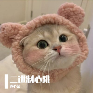 二进制心跳