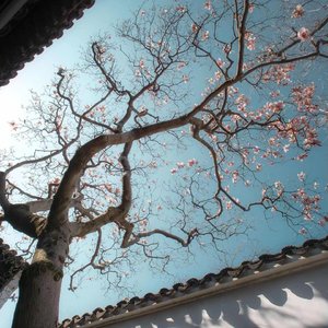 我的坏脾气 是被爱过的证据