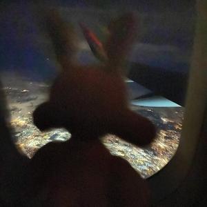 the place where he inserted the blade