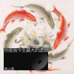 你是我今生最大的遗憾 (DJ阿奇版)