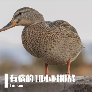 后来的我们 伴奏