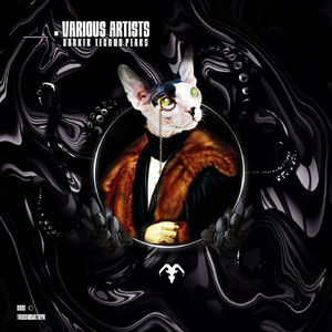 Bass X Change (Original Mix)