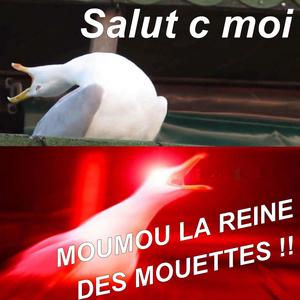 MouMou la Reine des Mouettes en Roue Libre