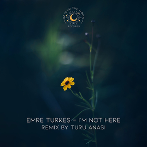 I'm Not Here (Turu Anasi Remix)