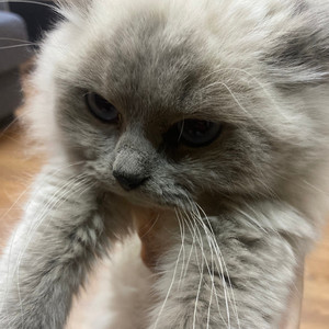 To U*(Feat.REAL$IIN)