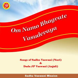 Sakheeree Mein to Rang Rang Gayee (feat. Gulshan Dudani)