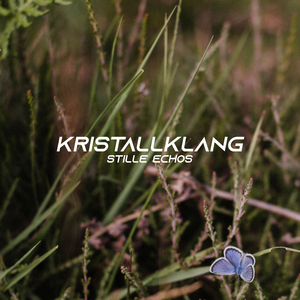 Schatten im Schweigen