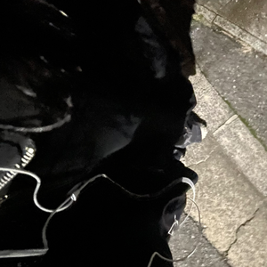 上手く形容できないことはかりで (Prod. vahipatsient)