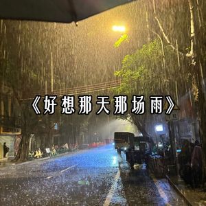 好想那天那场雨